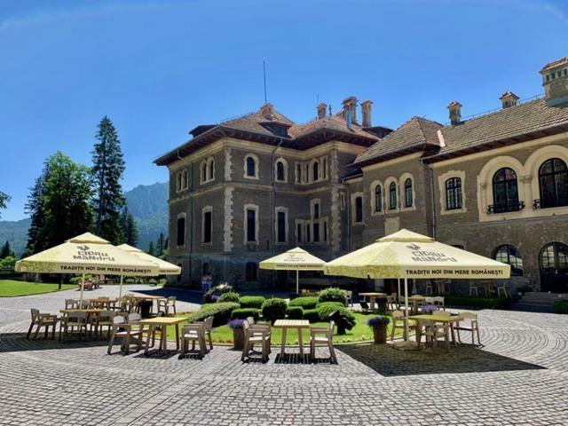 בוסטאני Castelul Cantacuzino מראה חיצוני תמונה